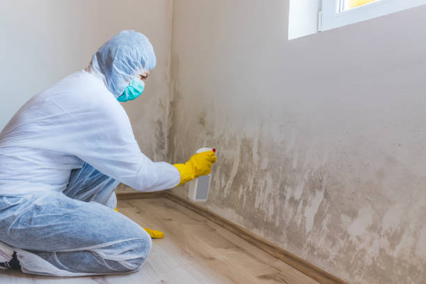 Licensed Mold Remediation service in Garland, TX - 24 Hour Mold Removal