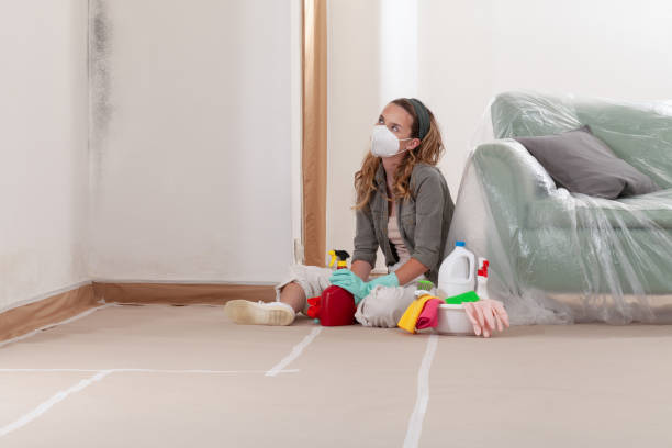 Reliable Mold Remediation contractor in Garland, TX by 24 Hour Mold Removal